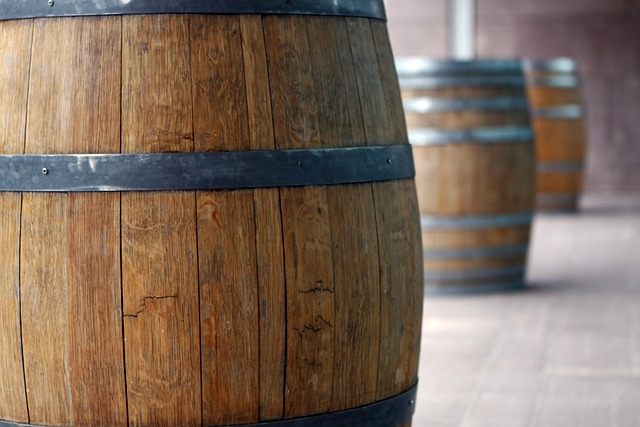 rakija od vina